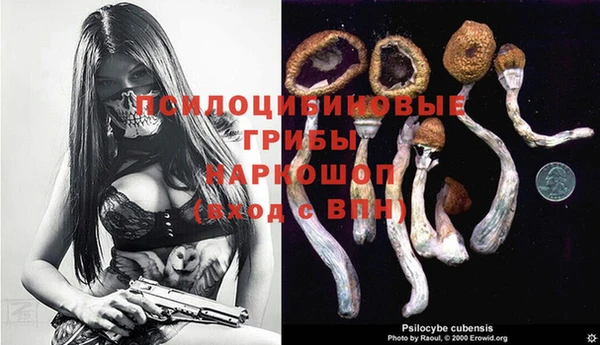 мет Армянск
